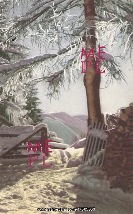  : Winter Scenic