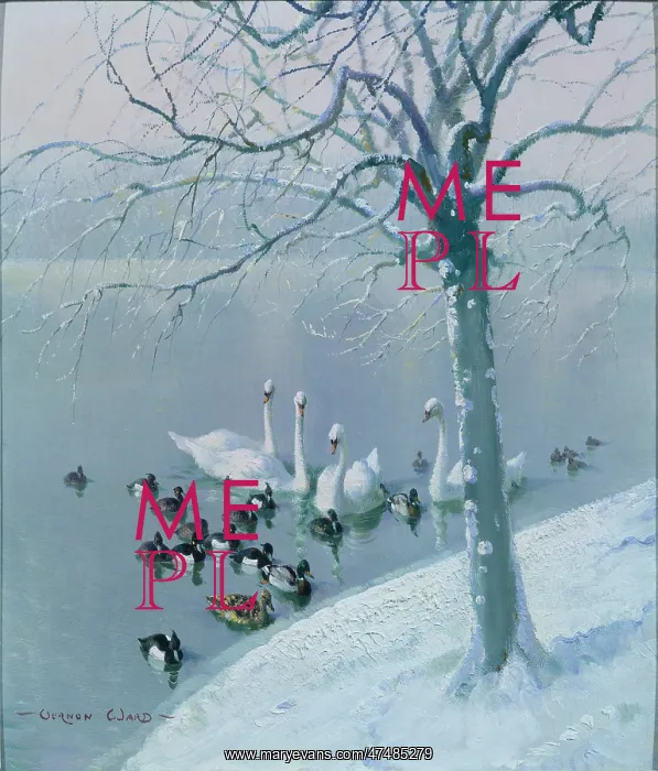  : Winter on the Serpentine – ducks and swans