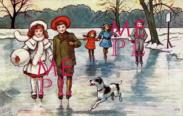 : Winter skating : Winter skating