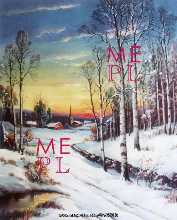 : Winter Splendor