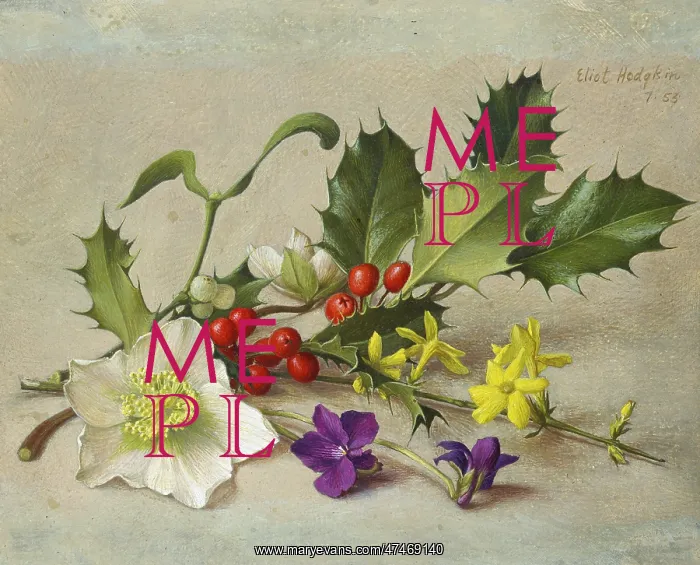 : Winter Spray ? Holly, Mistletoe etc : Winter Spray ? Holly, Mistletoe etc