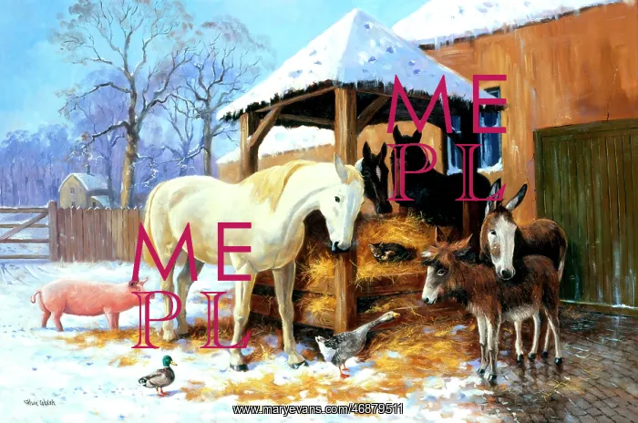 : Winter at the stable : Winter at the stable