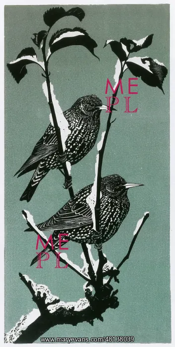 : Winter Starlings : Winter Starlings