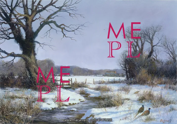  : Winter Stream ' snowscene with pheasants