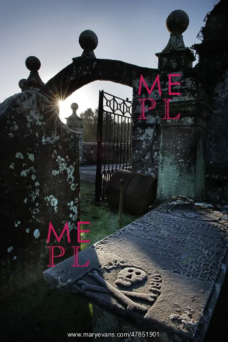 : Winter sun highlights a skull & crossbones on a tomb : Winter sun highlights a skull & crossbones on a tomb