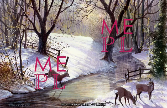  : Winter Sunset -- three deer by a snowy river bank