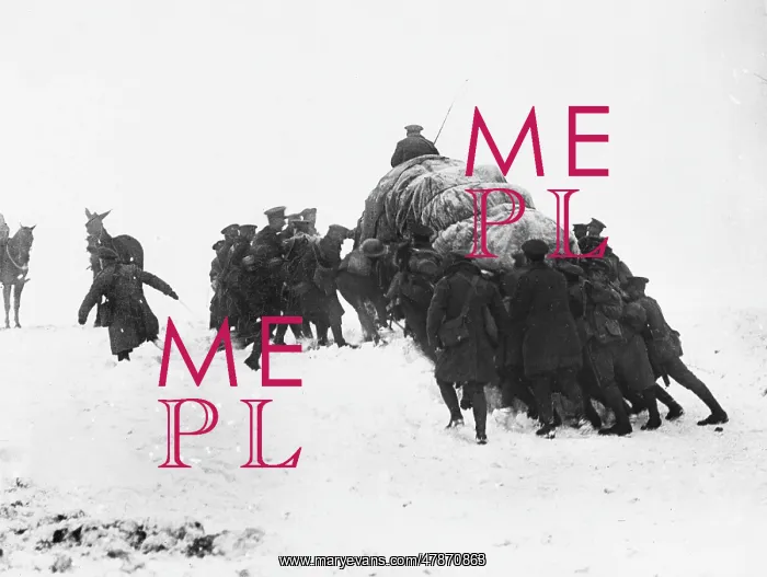 : Winter supplies 1917 : Winter supplies 1917