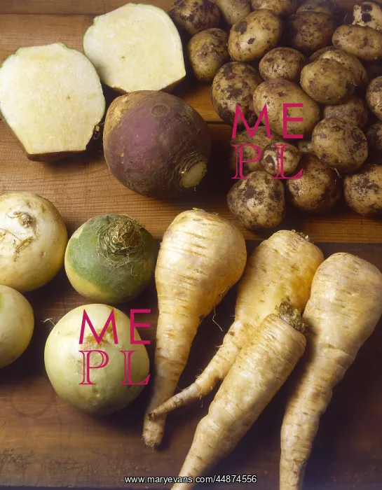 : WINTER VEGETABLES : WINTER VEGETABLES