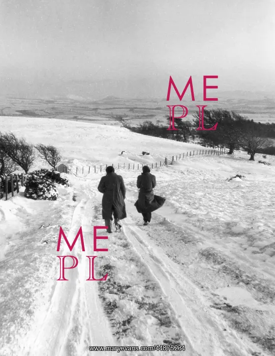 : WINTER WALK : WINTER WALK