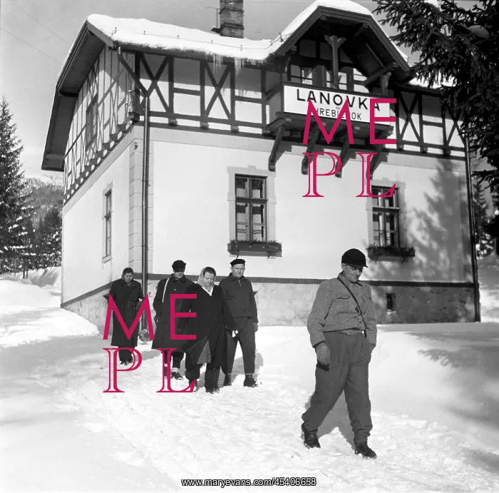 : Winter walk : Winter walk