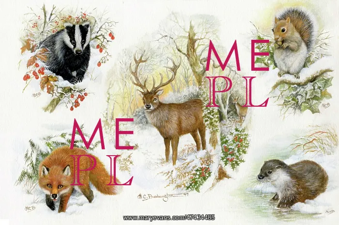  : Winter Wildlife Composite