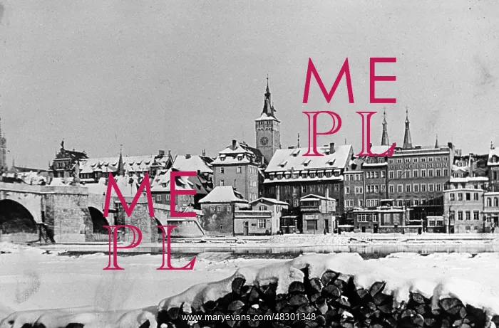 : Winter in Wurzburg, 1939 : Winter in Wurzburg, 1939