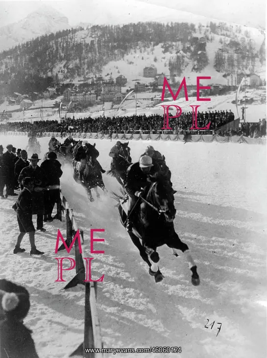 : Winterly horse race : Winterly horse race