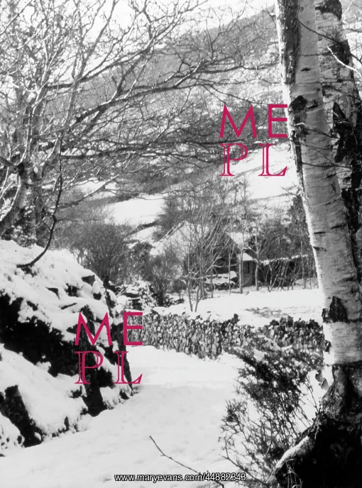 : WINTERY WALES : WINTERY WALES