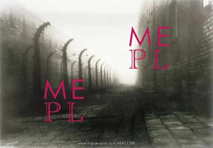 : WIRE AT AUSCHWITZ : WIRE AT AUSCHWITZ