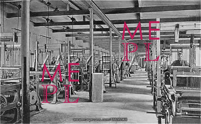 : WIRE FACTORY / SCHMIDT : WIRE FACTORY / SCHMIDT