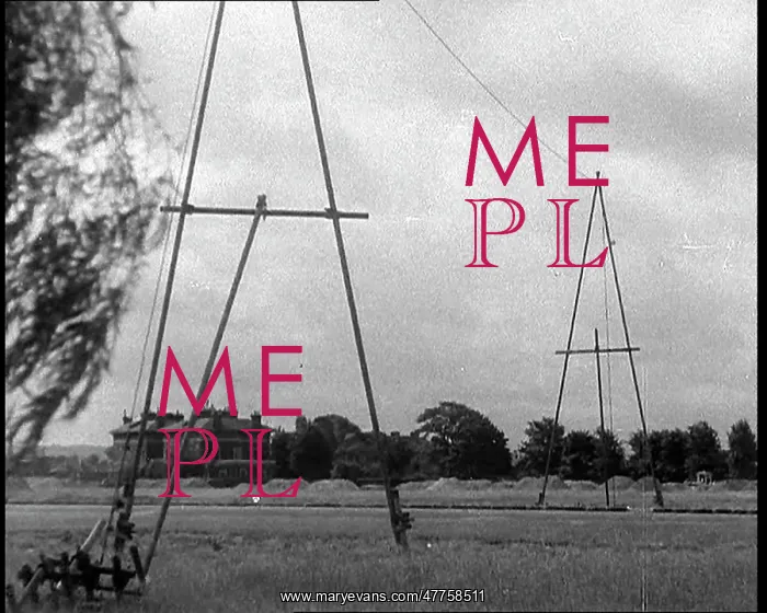 : A Wire Set Up to Snare Gliders : A Wire Set Up to Snare Gliders
