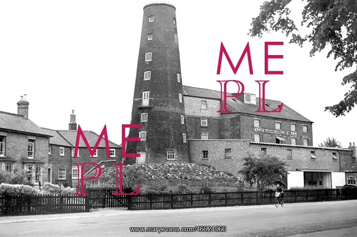  : Wisbech, Leach's Mill c1955