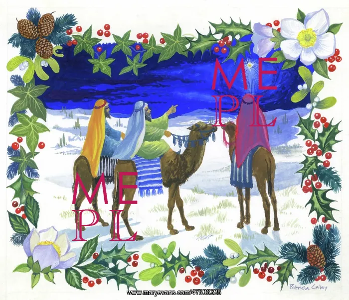: The Three Wise Men gazing at the star : The Three Wise Men gazing at the star