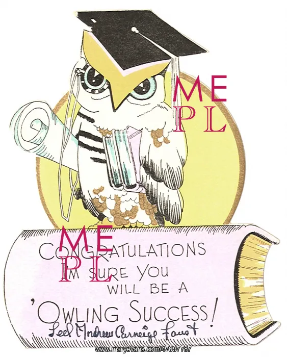 : Wise Owl : Wise Owl