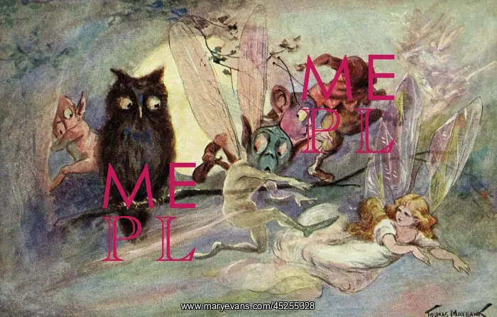  : Wise owl and pixies