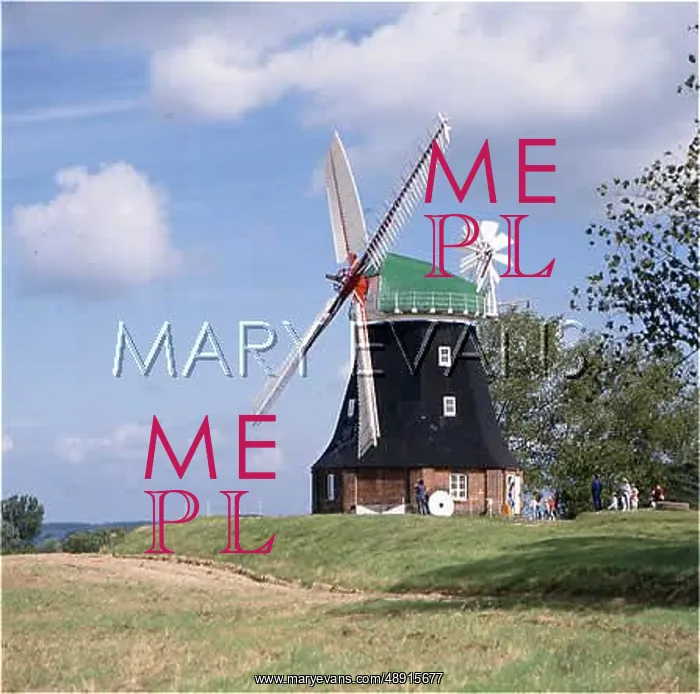 : WISMAR / GERMANY / WINDMILL : WISMAR / GERMANY / WINDMILL