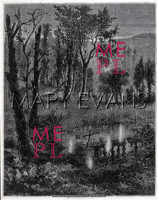 : WILL OF THE WISP (ISSY) : WILL OF THE WISP (ISSY)
