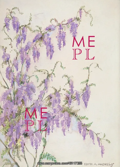  : Wisteria - Gardens