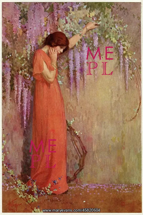 : THE WISTERIA GIRL : THE WISTERIA GIRL