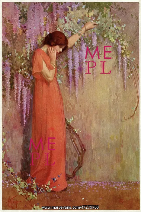 : THE WISTERIA GIRL : THE WISTERIA GIRL