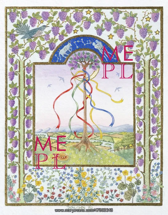 : Wisteria Tree maypole with coloured ribbons : Wisteria Tree maypole with coloured ribbons