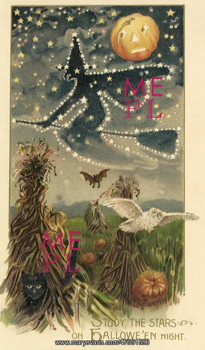 : Witch on Broom : Witch on Broom
