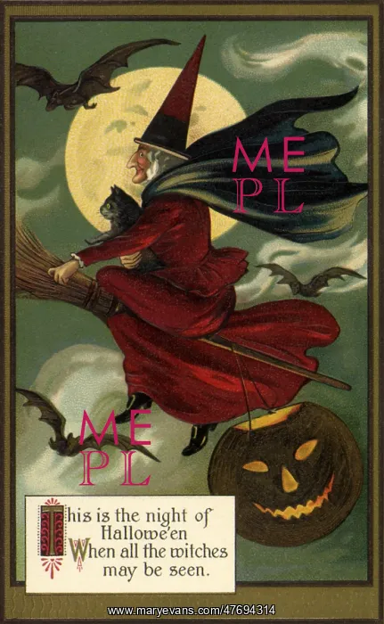 : Witch on Her Broom : Witch on Her Broom