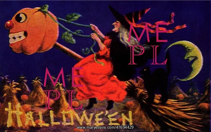 : Witch on Broom : Witch on Broom