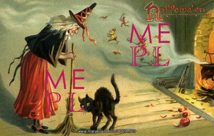 : Witch and Cat : Witch and Cat