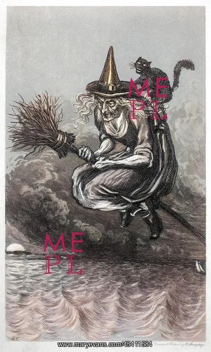 : Witch and Cat and Broomstick : Witch and Cat and Broomstick