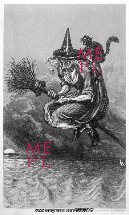 : Witch and Cat and Broomstick : Witch and Cat and Broomstick