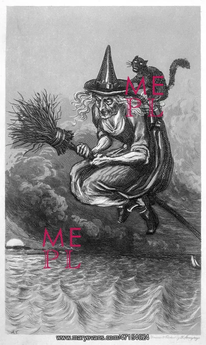 : Witch and Cat and Broomstick : Witch and Cat and Broomstick