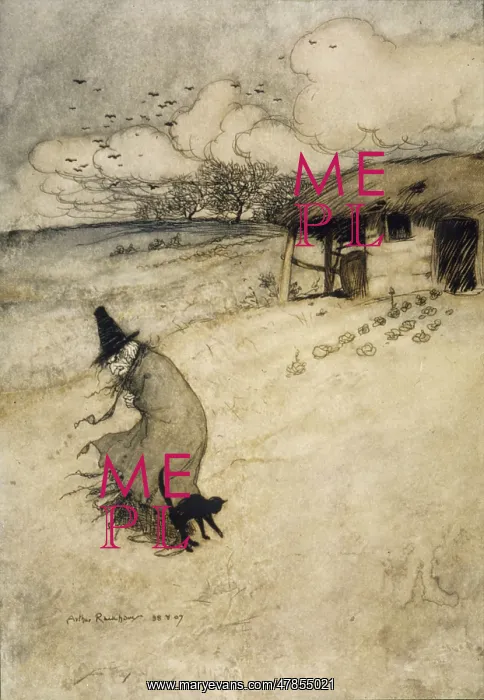 : Witch and Cat (Rackham) : Witch and Cat (Rackham)
