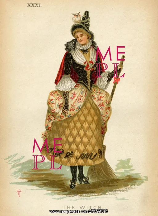 : The Witch, fancy dress : The Witch, fancy dress