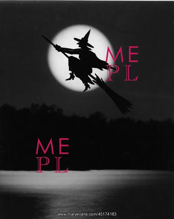  : Witch flying her broom