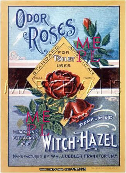 : WITCH HAZEL ADVERT : WITCH HAZEL ADVERT