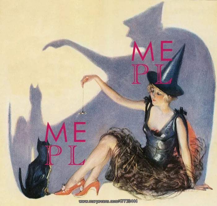 : Witch plays with Black Cat : Witch plays with Black Cat