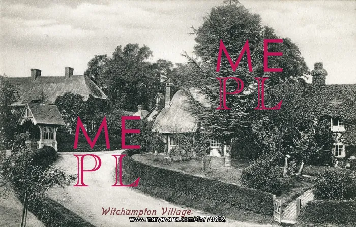 : Witchampton Village, Dorset, England : Witchampton Village, Dorset, England