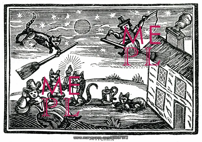 : WITCHES & FAMILIARS : WITCHES & FAMILIARS