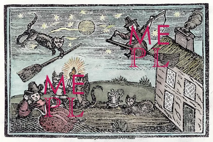 : WITCHES & FAMILIARS : WITCHES & FAMILIARS