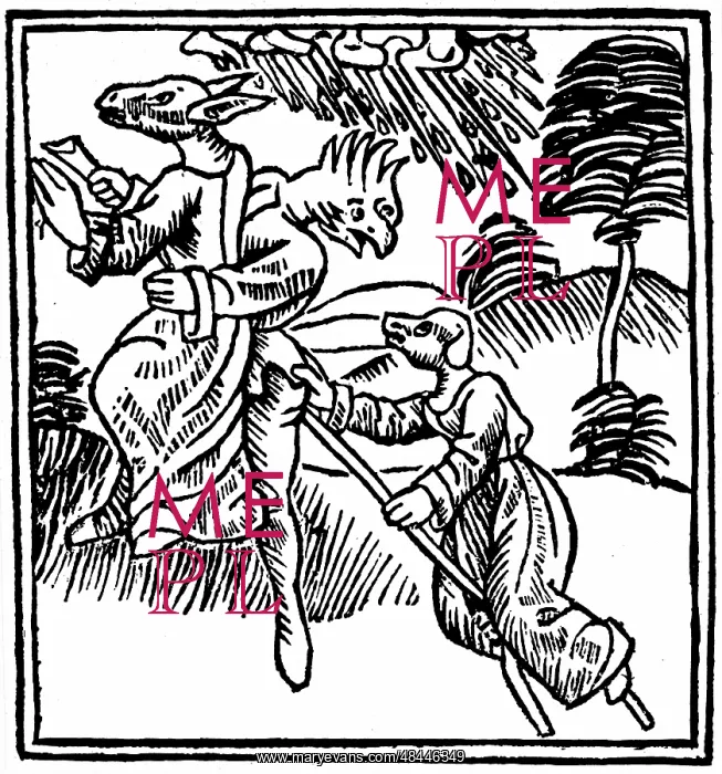 : Witches turned into animals as they ride through : Witches turned into animals as they ride through