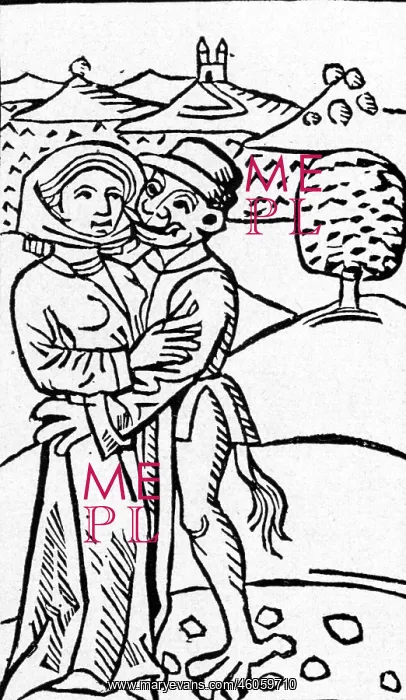 : witches, witch and devil from U. Molitor scriptum : witches, witch and devil from U. Molitor scriptum