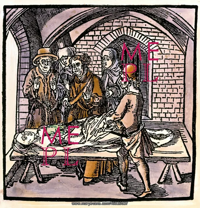 : witches, witch-hunt, a toad in the chest of a : witches, witch-hunt, a toad in the chest of a