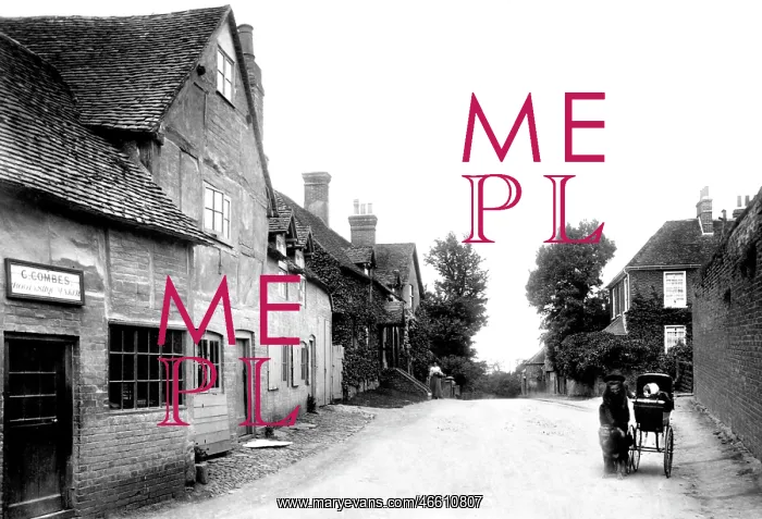  : Witley, Village 1906